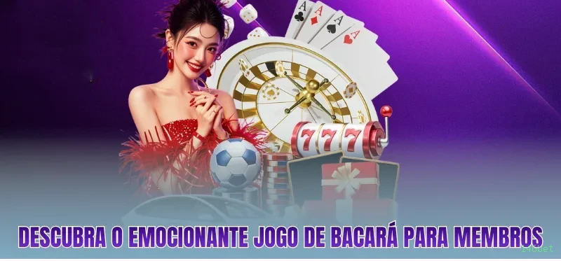 Cassino 146bet - mesas ao vivo e jogos